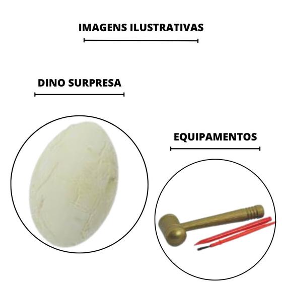 Kit Explora Ovo Dinossauro  1-4dz Fgie - 47596