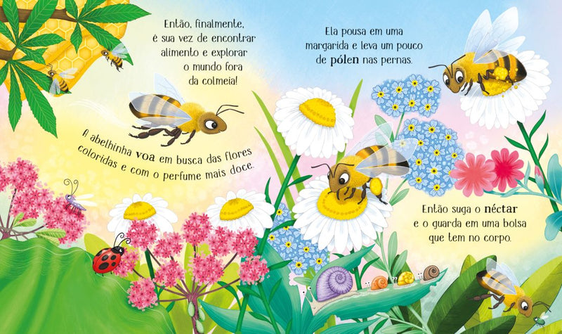 A abelha: ciclos da vida -site-ecd - Usborne