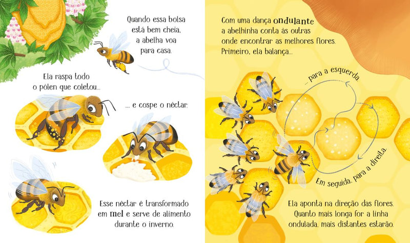 A abelha: ciclos da vida -site-ecd - Usborne